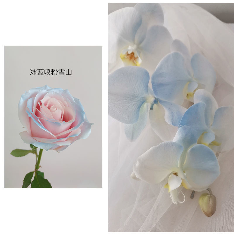 Spruzzo di colore della perla del fiore di MSDS 350ml, spruzzo della pittura della latta per i fiori